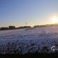 IMG_1199986