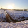IMG_1199987
