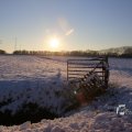 IMG_1199988