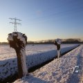 IMG_1199995