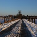 IMG_1199996