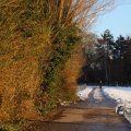 IMG_1200005