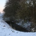 IMG_1200265