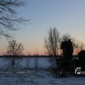 IMG_1200293