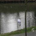 IMG_1200006