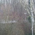 IMG_1200015
