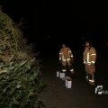 IMG_1200450