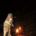 IMG_1200473