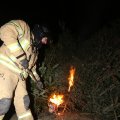 IMG_1200474