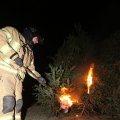 IMG_1200475