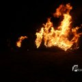 IMG_1200483
