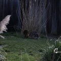 IMG_1201099