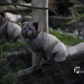 IMG_1201103