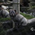 IMG_1201104