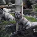 IMG_1201107