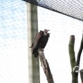 IMG_1201113