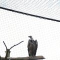 IMG_1201114