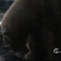 IMG_1201124