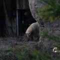 IMG_1201125