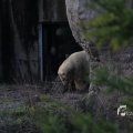 IMG_1201126