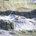 IMG_1201131