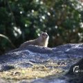 IMG_1201142