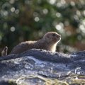 IMG_1201143