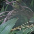 IMG_1201155