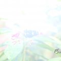 IMG_1201156