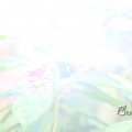 IMG_1201157
