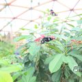 IMG_1201159