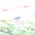 IMG_1201160