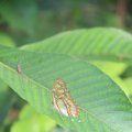 IMG_1201168