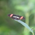 IMG_1201172