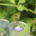 IMG_1201177