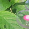 IMG_1201178