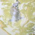 IMG_1201179