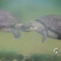 IMG_1201195