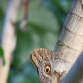 IMG_1201205