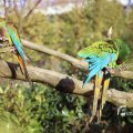 IMG_1201213
