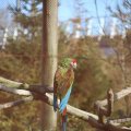 IMG_1201217