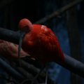 IMG_1201219