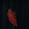 IMG_1201222