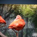 IMG_1201224