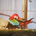 IMG_1201226
