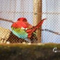 IMG_1201227