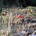 IMG_1201233