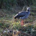 IMG_1201234