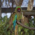 IMG_1201241