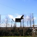 IMG_1201258